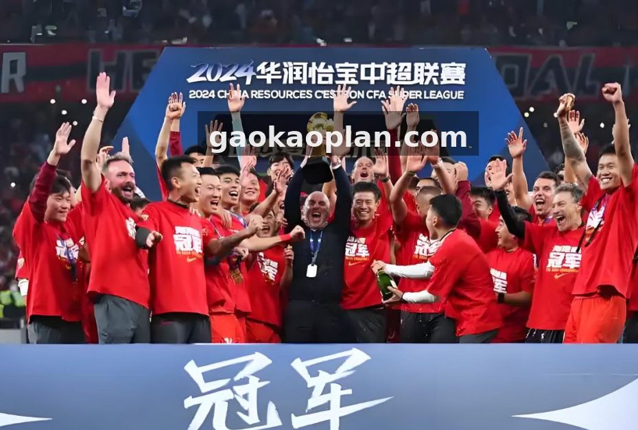 太阳贵宾会 麻将胡了版本合集服务配图